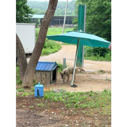 전상원
